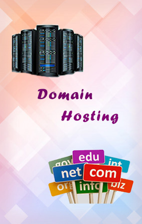 domain hosting maraimalainagar